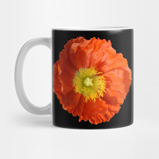 Orange Poppy Flower by Moonlit Midnight Arts